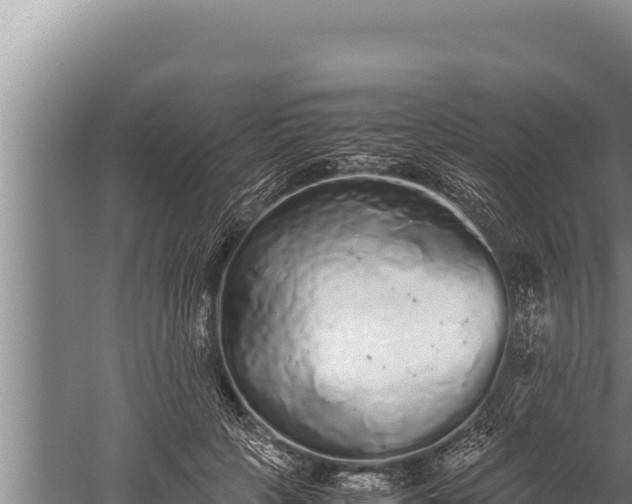 X0000059800649200510281640