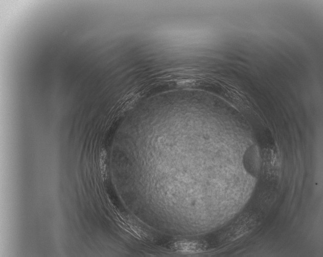 X0000059800650200510281640