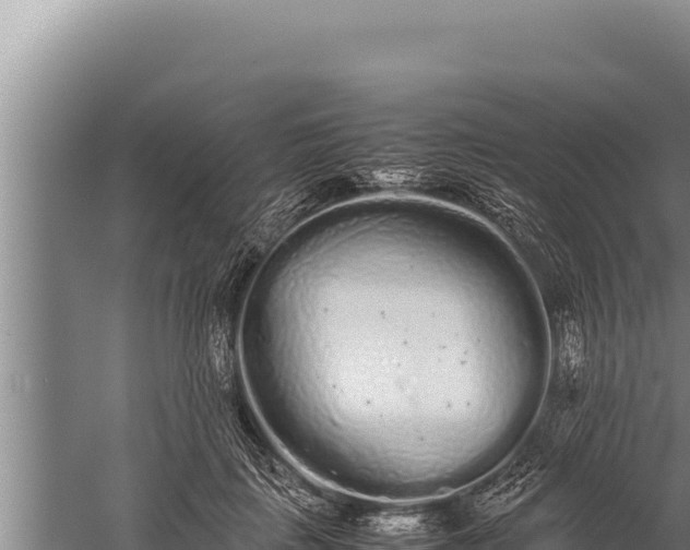 X0000059800651200510281640