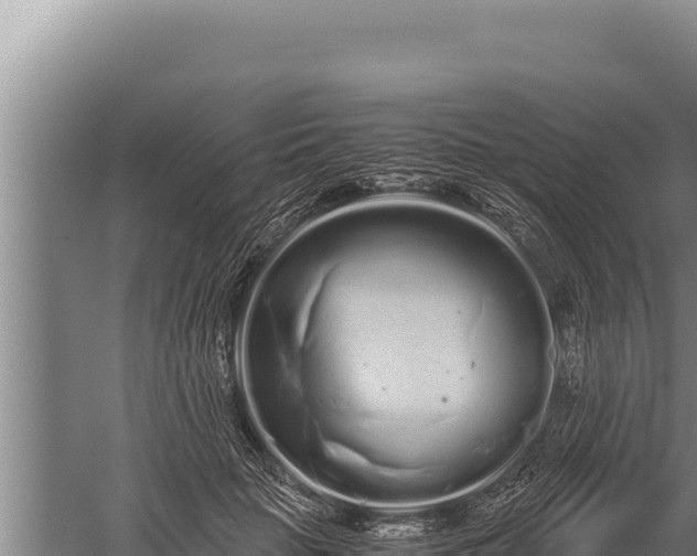 X0000059800653200510281640