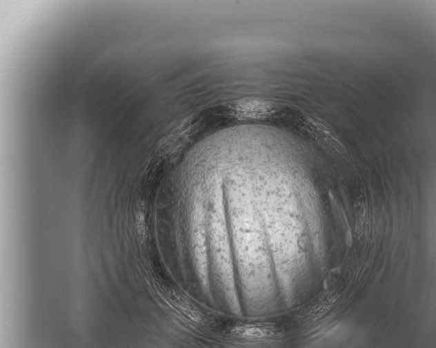 X0000059800655200510281640