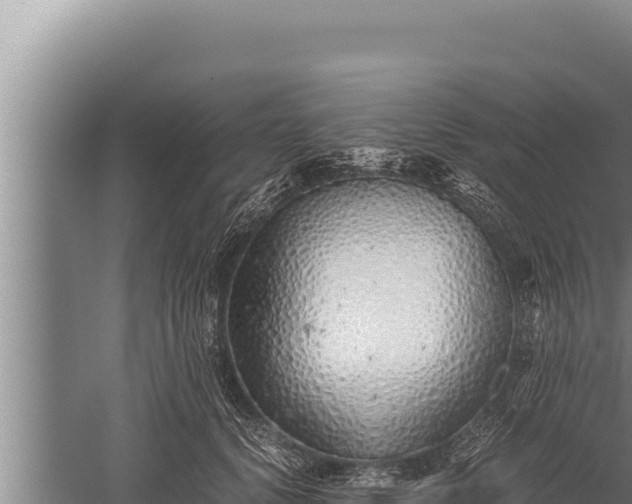 X0000059800656200510281640