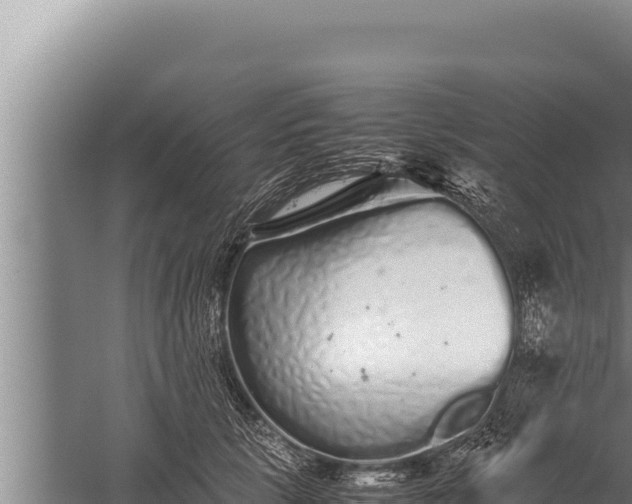 X0000059800657200510281640