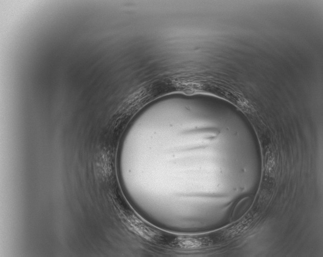 X0000059800658200510281640