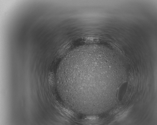 X0000059800659200510281640