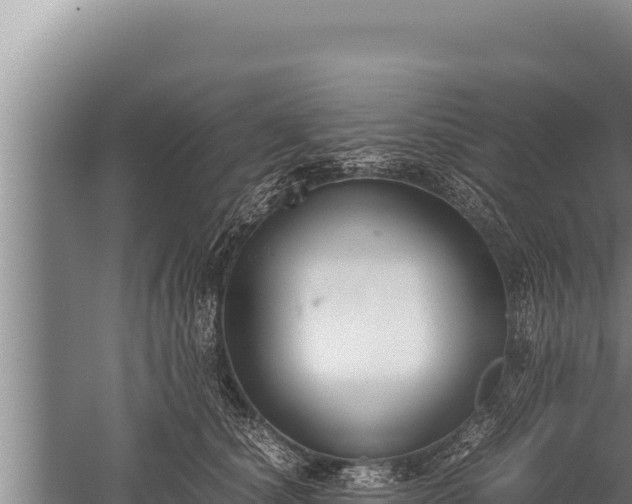 X0000059800660200510281640