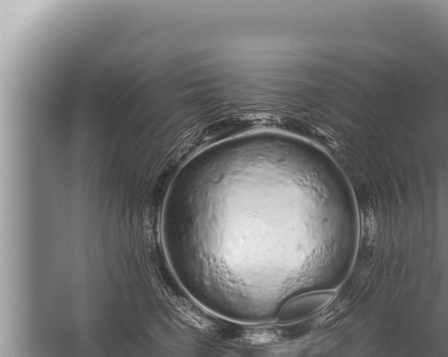 X0000059800662200510281640