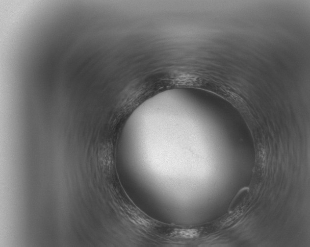 X0000059800665200510281640