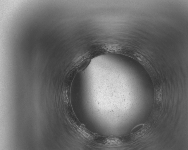 X0000059800666200510281640