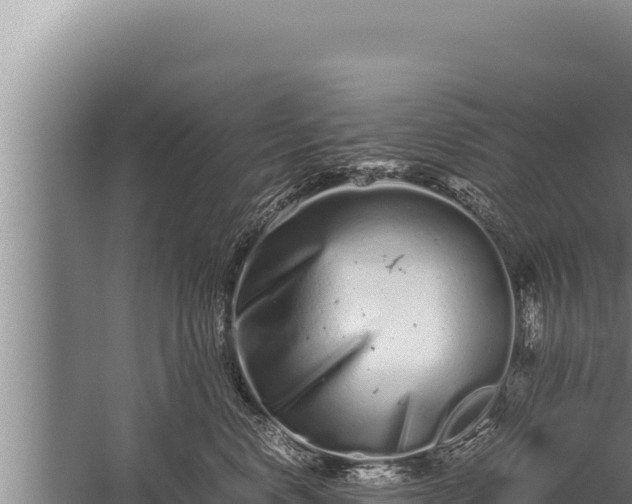 X0000059800668200510281640