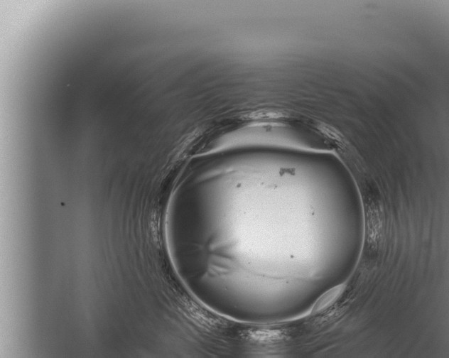 X0000059800669200510281640