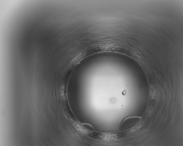 X0000059800670200510281640