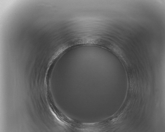 X0000059800674200510281640