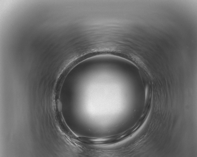 X0000059800676200510281640