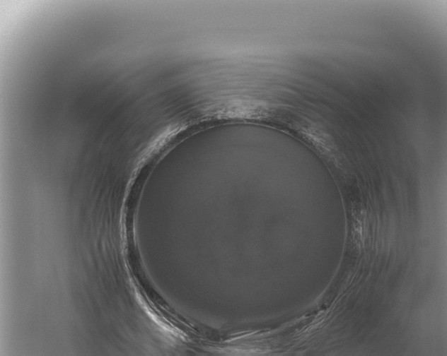 X0000059800678200510281639