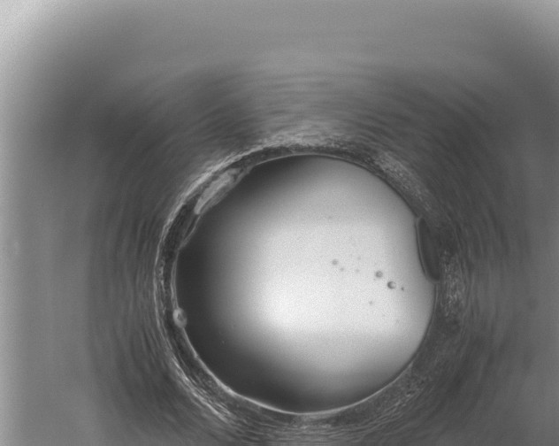 X0000059800680200510281639