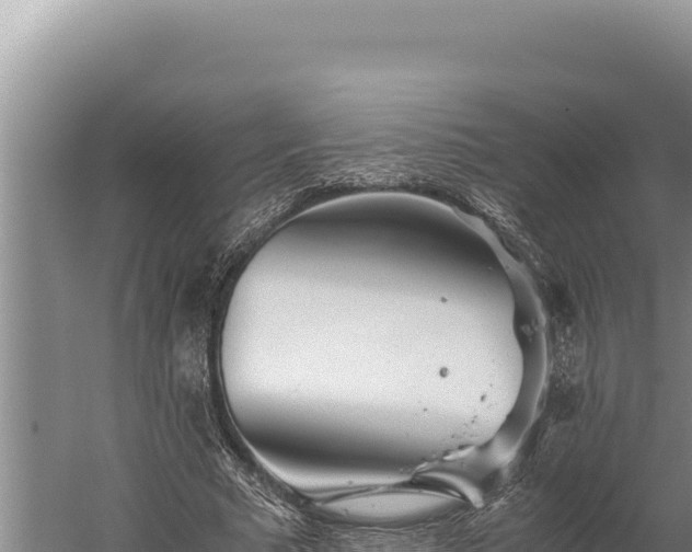 X0000059800681200510281639