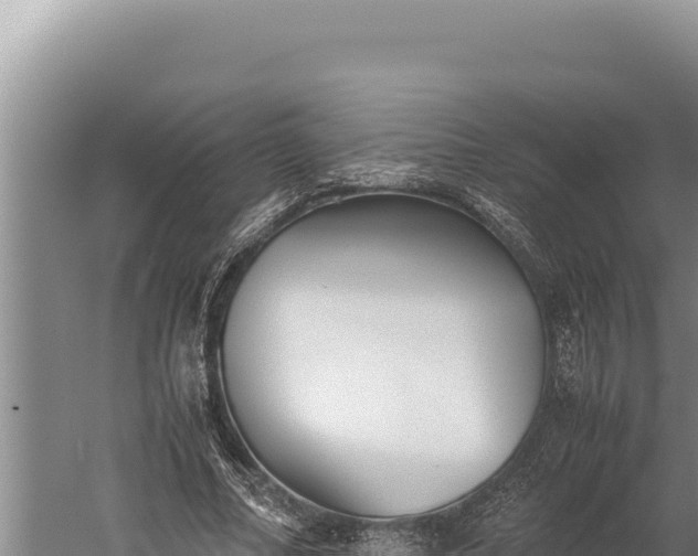 X0000059800682200510281639