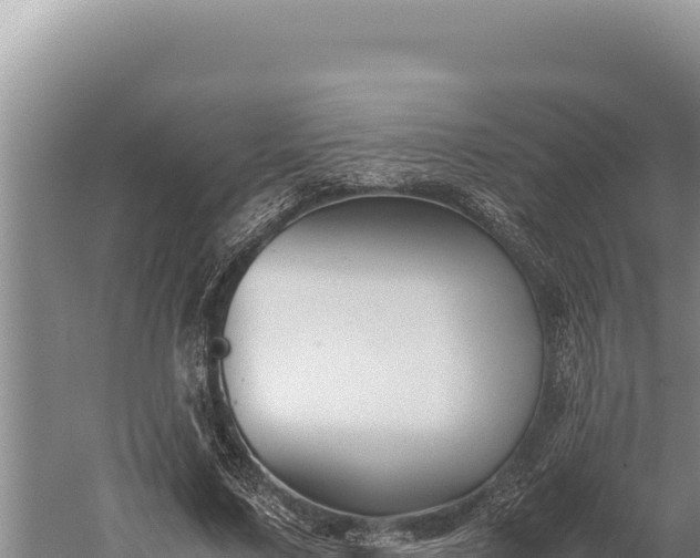 X0000059800683200510281639