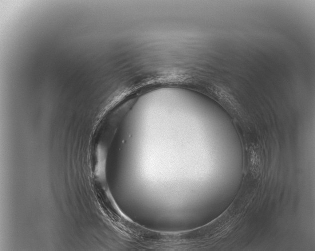 X0000059800684200510281639