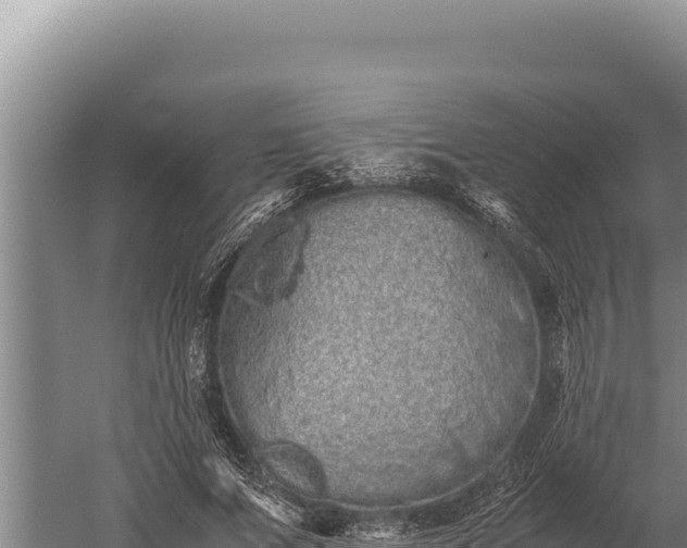 X0000059800687200510281639