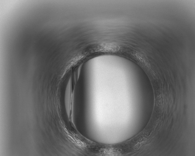 X0000059800688200510281639