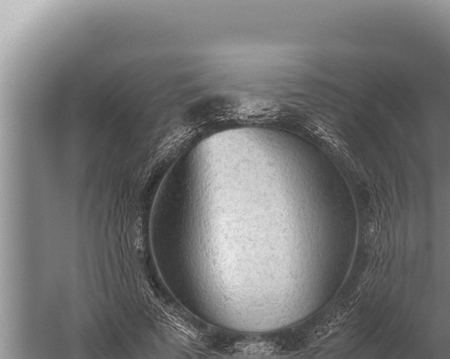 X0000059800689200510281639