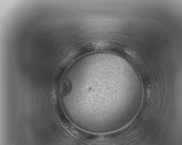 X0000059800691200510281639