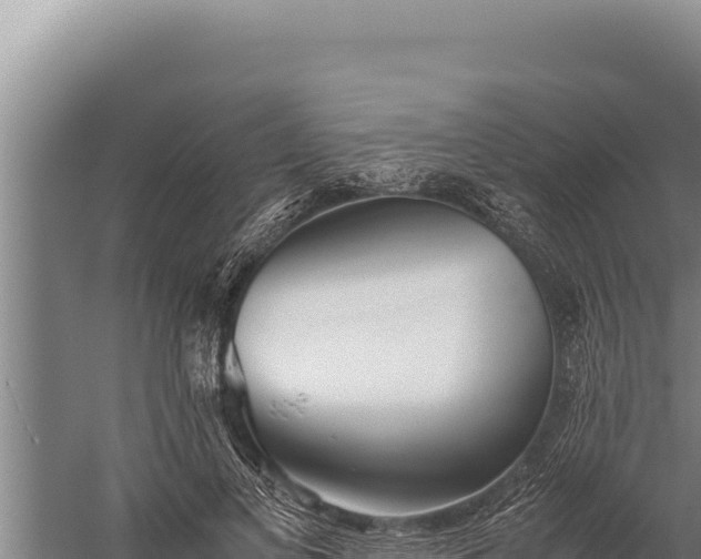 X0000059800693200510281639