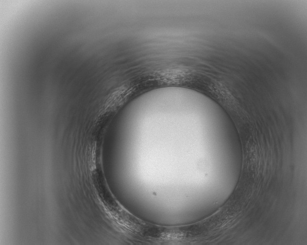 X0000059800694200510281639