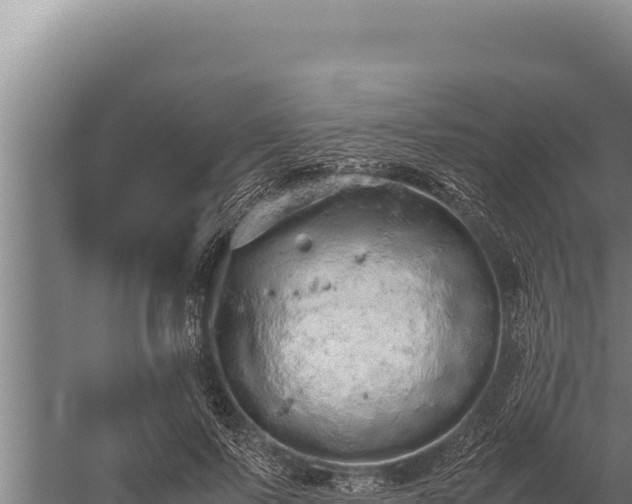 X0000059800695200510281639