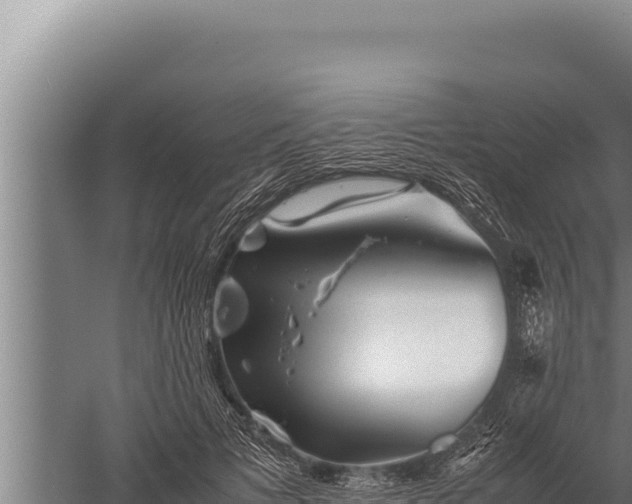 X0000059800697200510281639