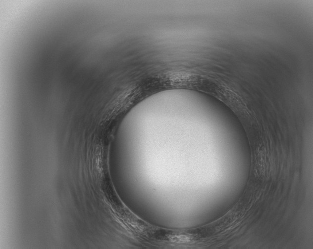 X0000059800698200510281639