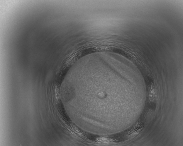 X0000059800699200510281639