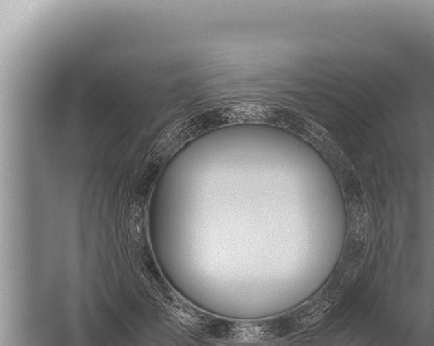 X0000059800701200510281639