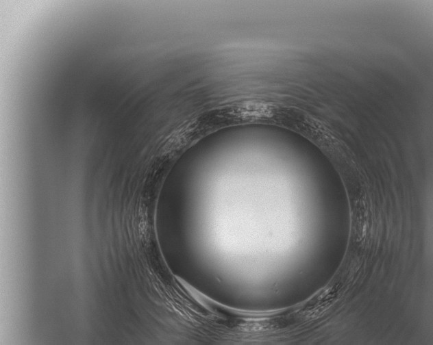 X0000059800704200510281639