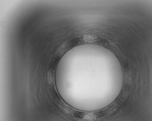 X0000059800705200510281639