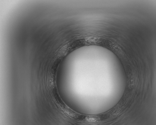 X0000059800706200510281639