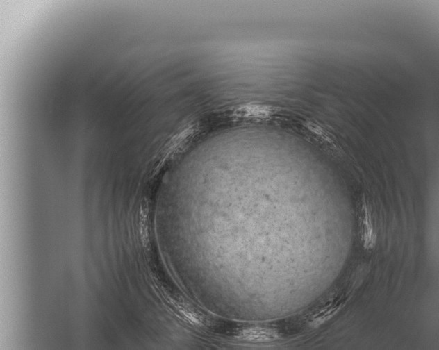 X0000059800708200510281639