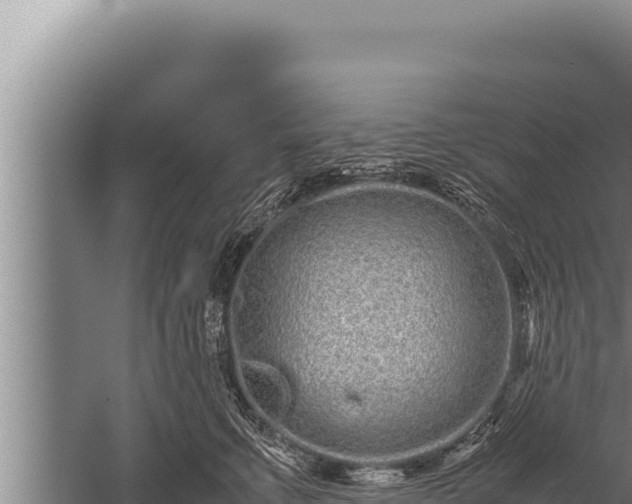 X0000059800711200510281639