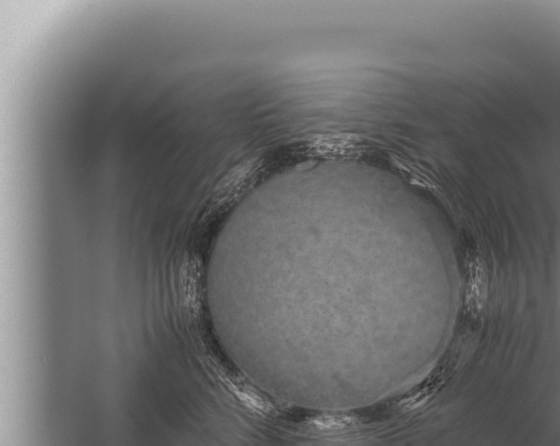 X0000059800712200510281639