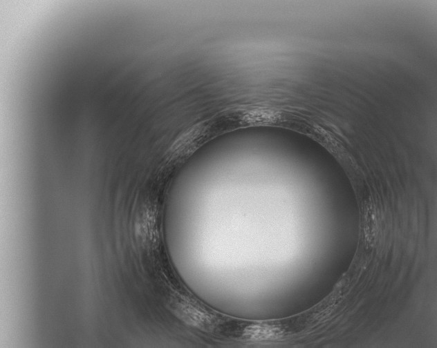 X0000059800714200510281639