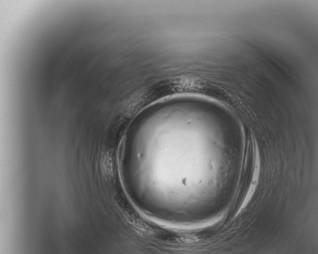 X0000059800715200510281639