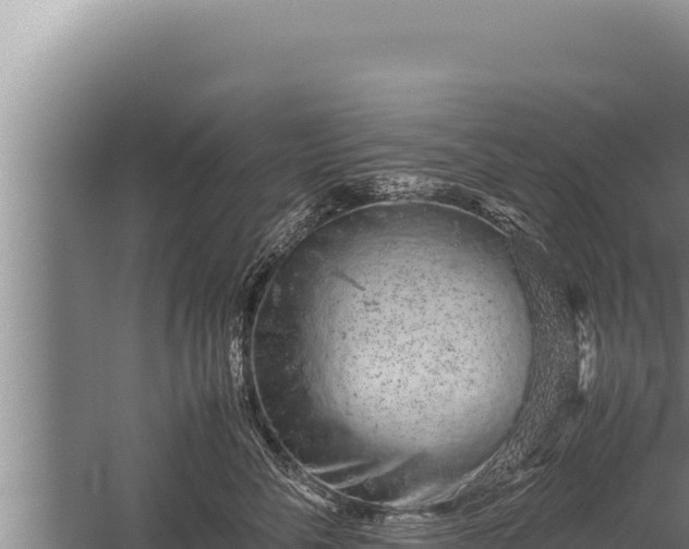 X0000059800716200510281639