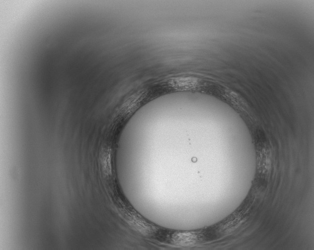 X0000059800717200510281639