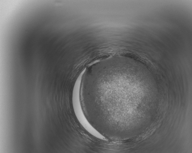 X0000059800720200510281639