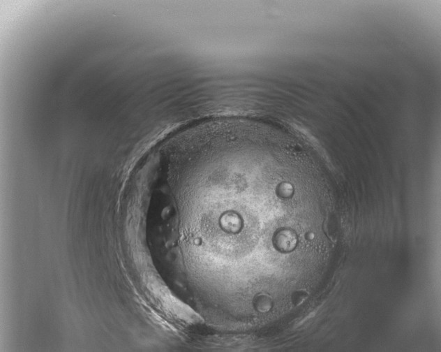 X0000059800721200510281638