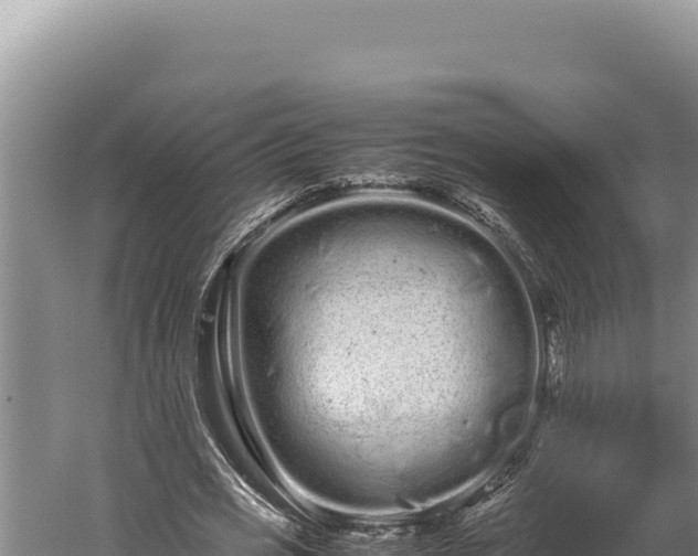 X0000059800725200510281638