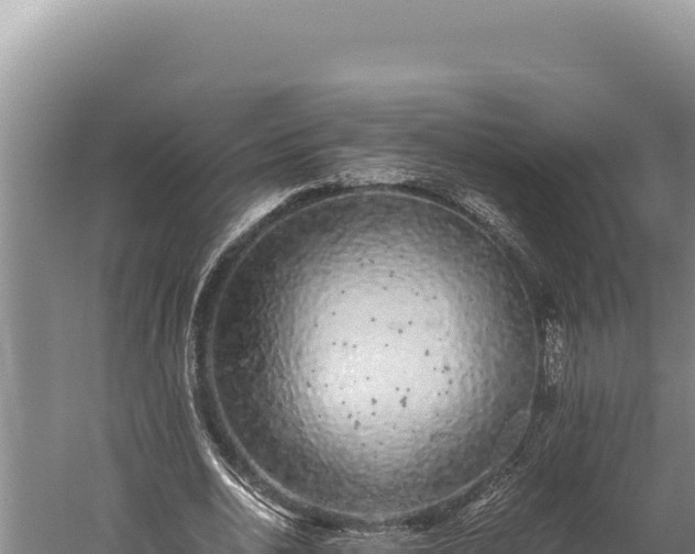 X0000059800726200510281638