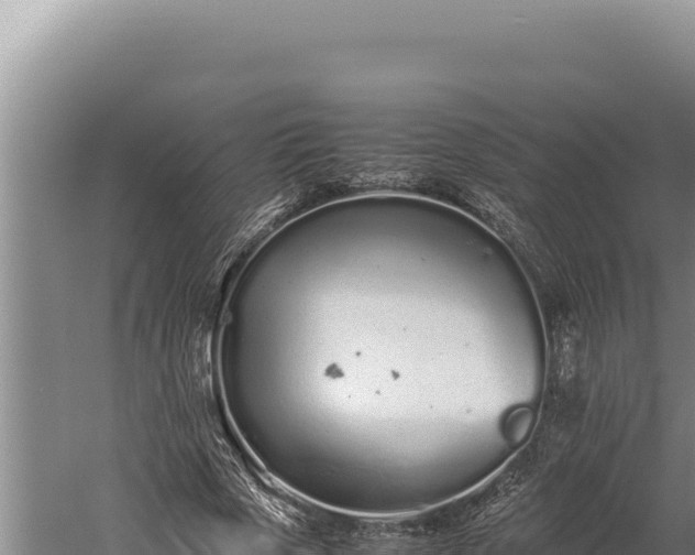 X0000059800729200510281638